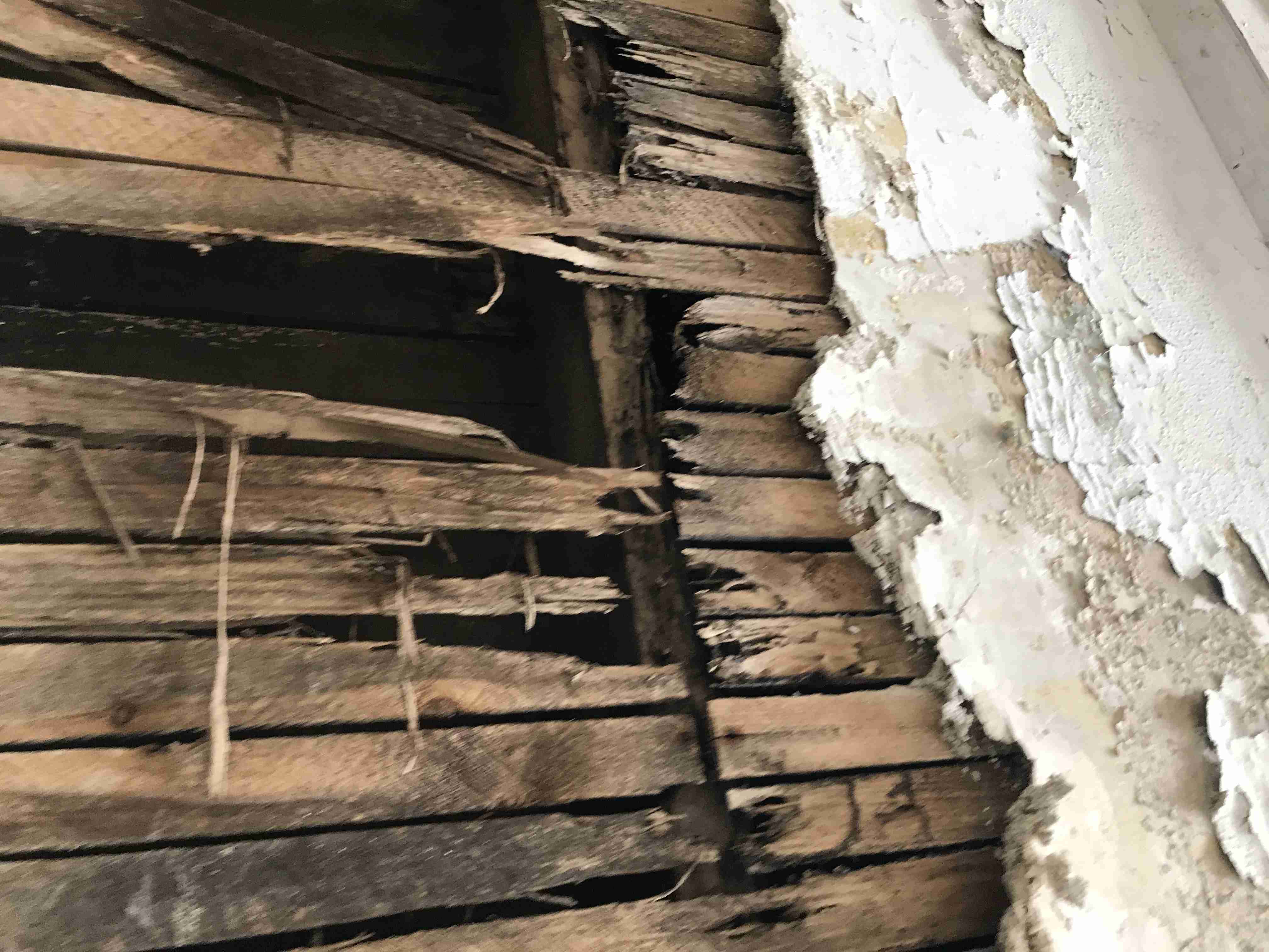 Photo Oct 13, 1 57 34 PM.jpg